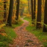 Apartment Gallery: Screenshot_20251229-182058