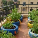 Apartment Gallery: Screenshot_20260102-074125