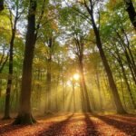 Apartment Gallery: Screenshot_20260102-074136